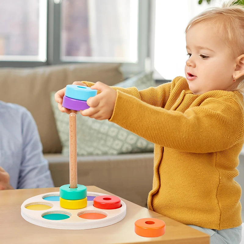 Ring Wooden Classification Toy