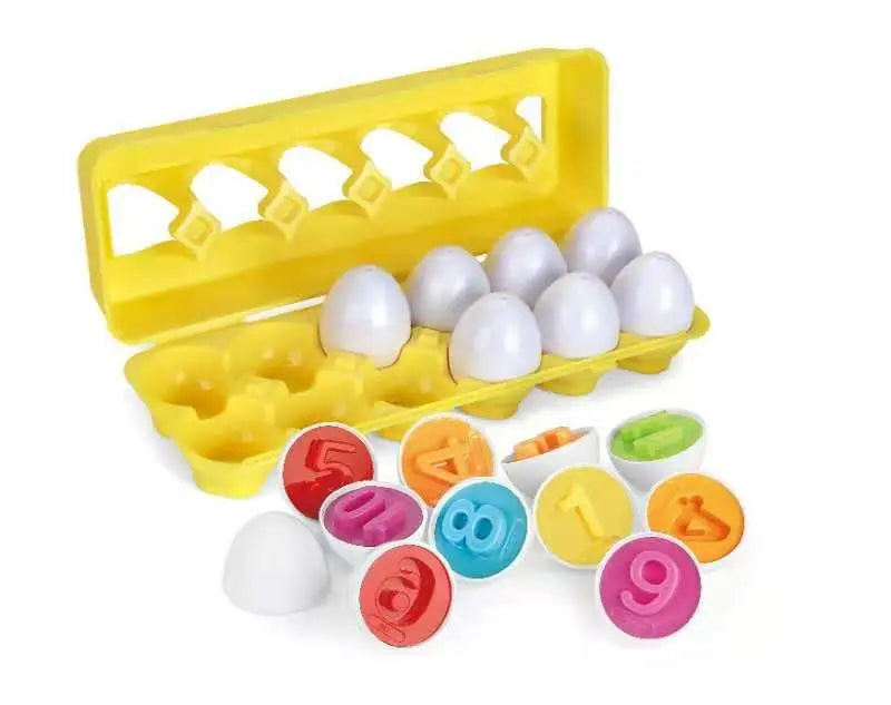 Montessori Smart Eggs in Cup