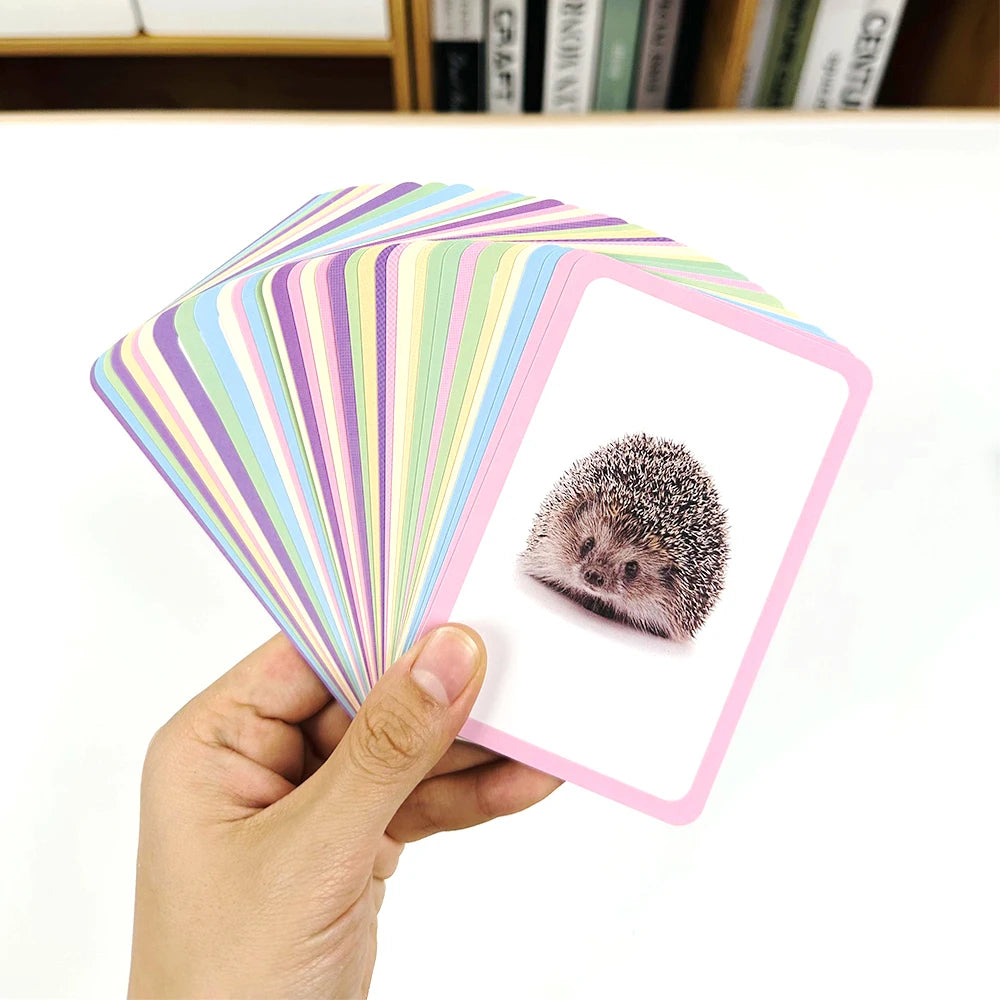 36 Double-Sided Animal Cognitive Cards