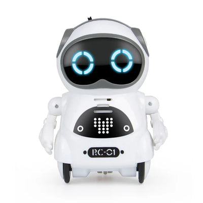 Interactive Talking Robot Toy