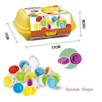 Montessori Smart Eggs in Cup